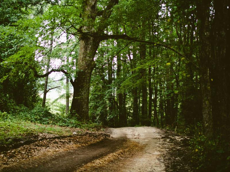 sudoku brain exercise screenshot 6